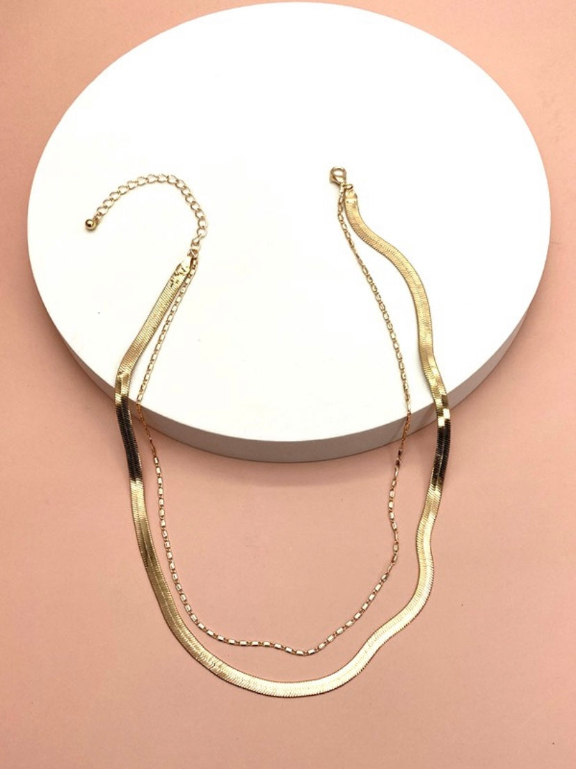 Snake and Largo Chain Necklace
